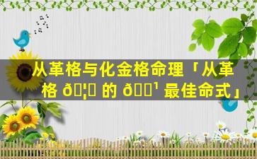 从革格与化金格命理「从革格 🦆 的 🌹 最佳命式」